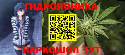 ПСИЛОЦИБИНОВЫЕ ГРИБЫ Гай